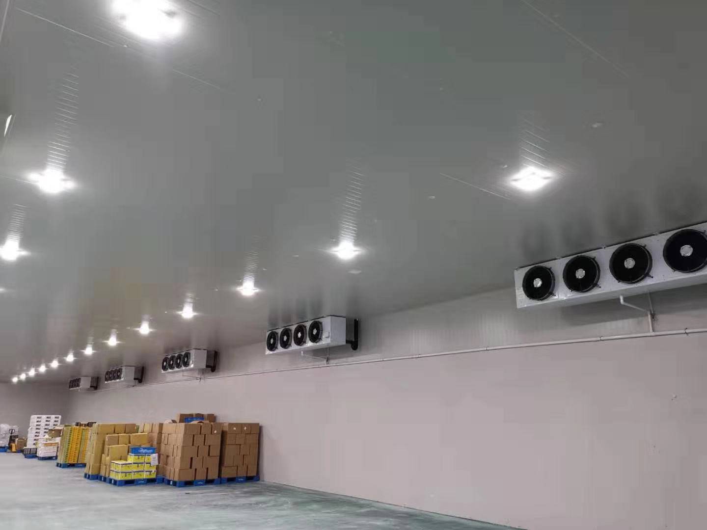 城市周邊建造一個8800平生鮮電商冷庫設計安裝費用？