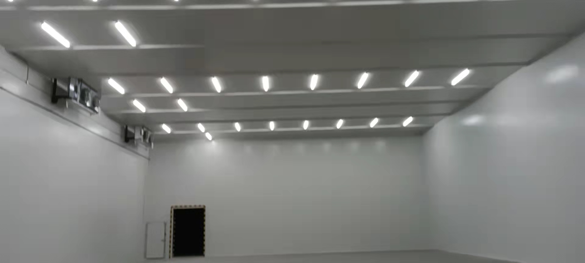 建造40000㎡低温冷藏库需要的费用是多少？