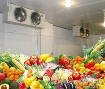安装一座冷库存放蔬菜需要多少钱，造价多少