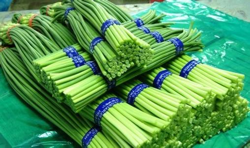 小型蒜苔保鲜冷库安装