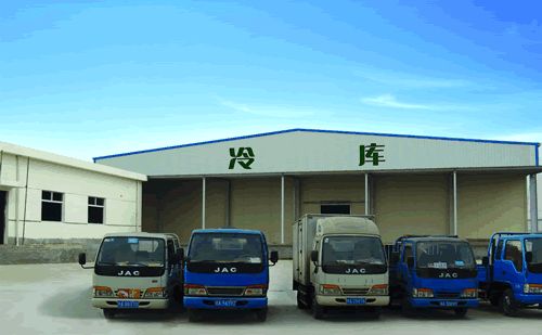 大型冷链物流冷藏车，果蔬冷库安装设计·