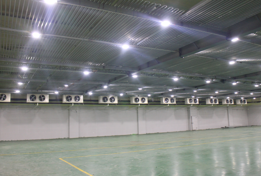 500吨冷冻肉冷库建造，-18℃低温肉类冷冻库安装造价