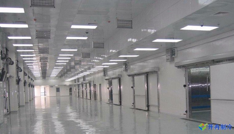 建造500吨带鱼低温冷库，海鲜冷冻库报价