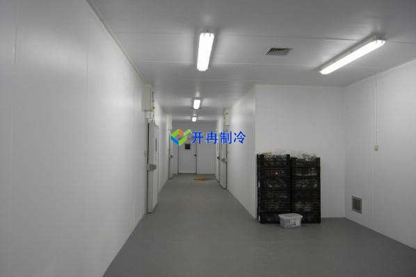 定制酒店冷冻库、食堂双温库、餐饮冷藏库工程造价